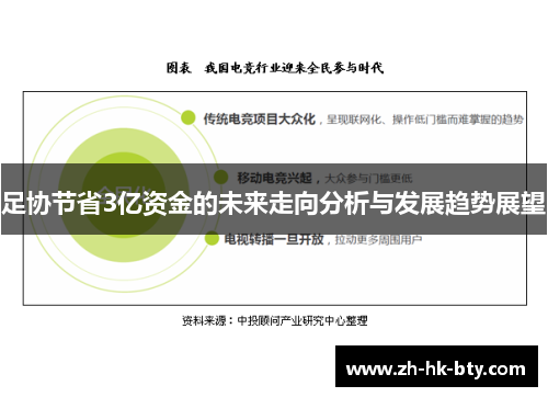 足协节省3亿资金的未来走向分析与发展趋势展望