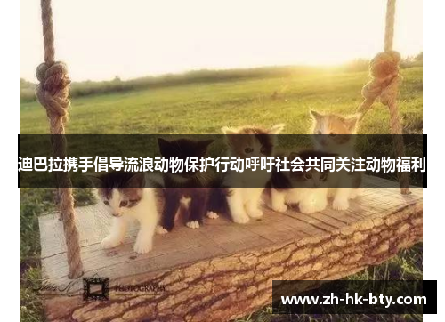 迪巴拉携手倡导流浪动物保护行动呼吁社会共同关注动物福利