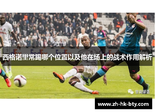 西格诺里常踢哪个位置以及他在场上的战术作用解析